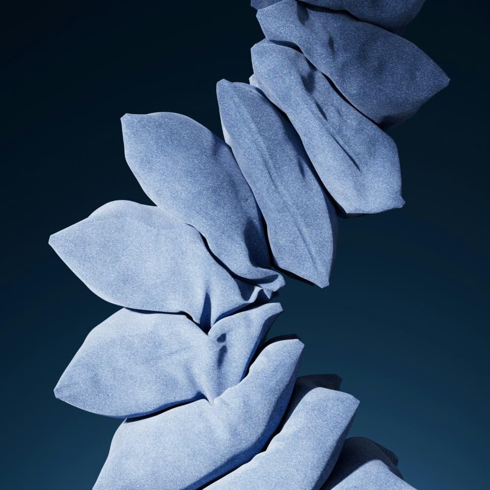 Blue Succulent Plant