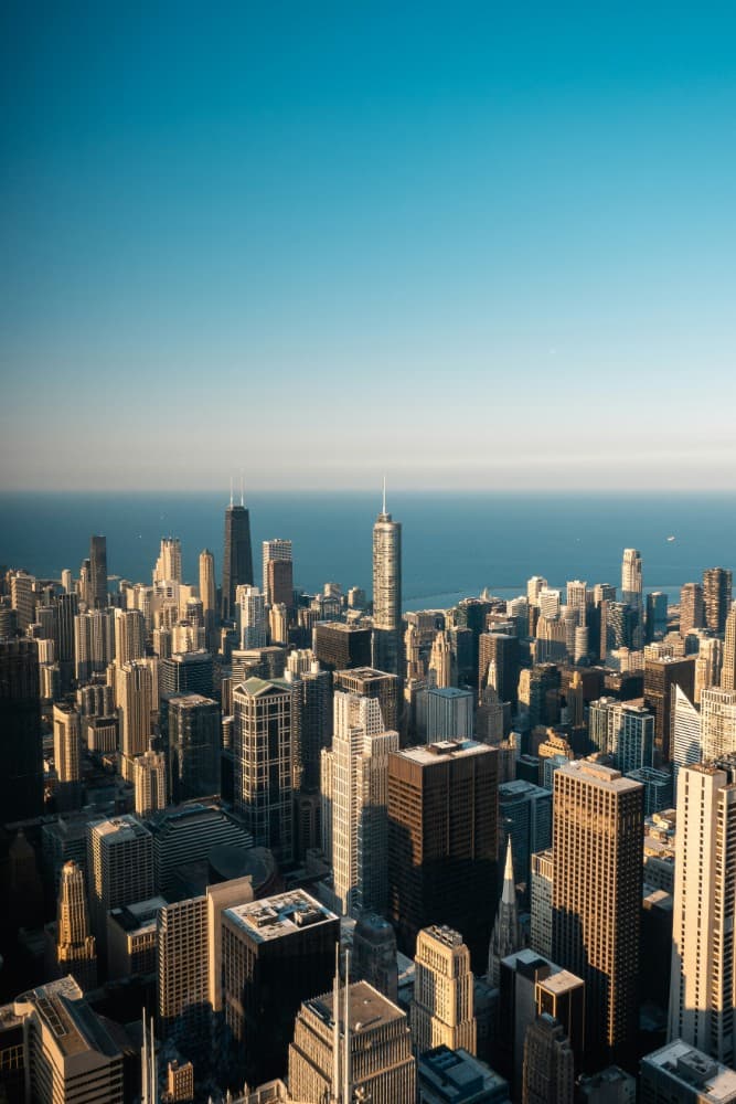 Sunlit Forest Sunbeams